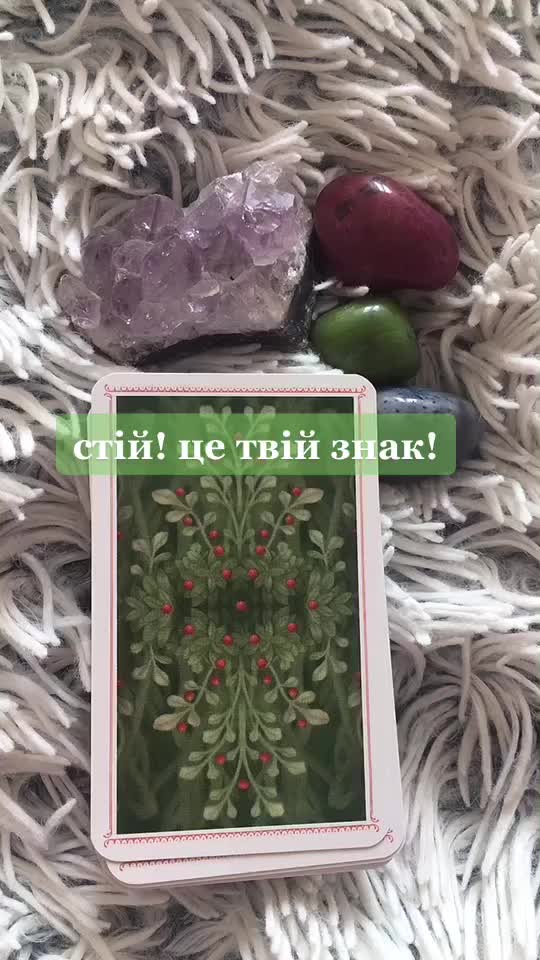 @vikssa tarot🕉