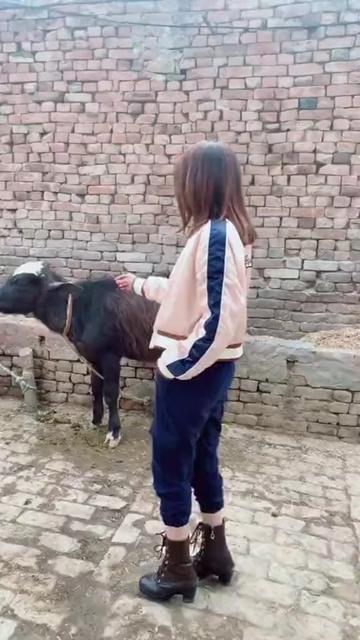 @Bhatt Nisha