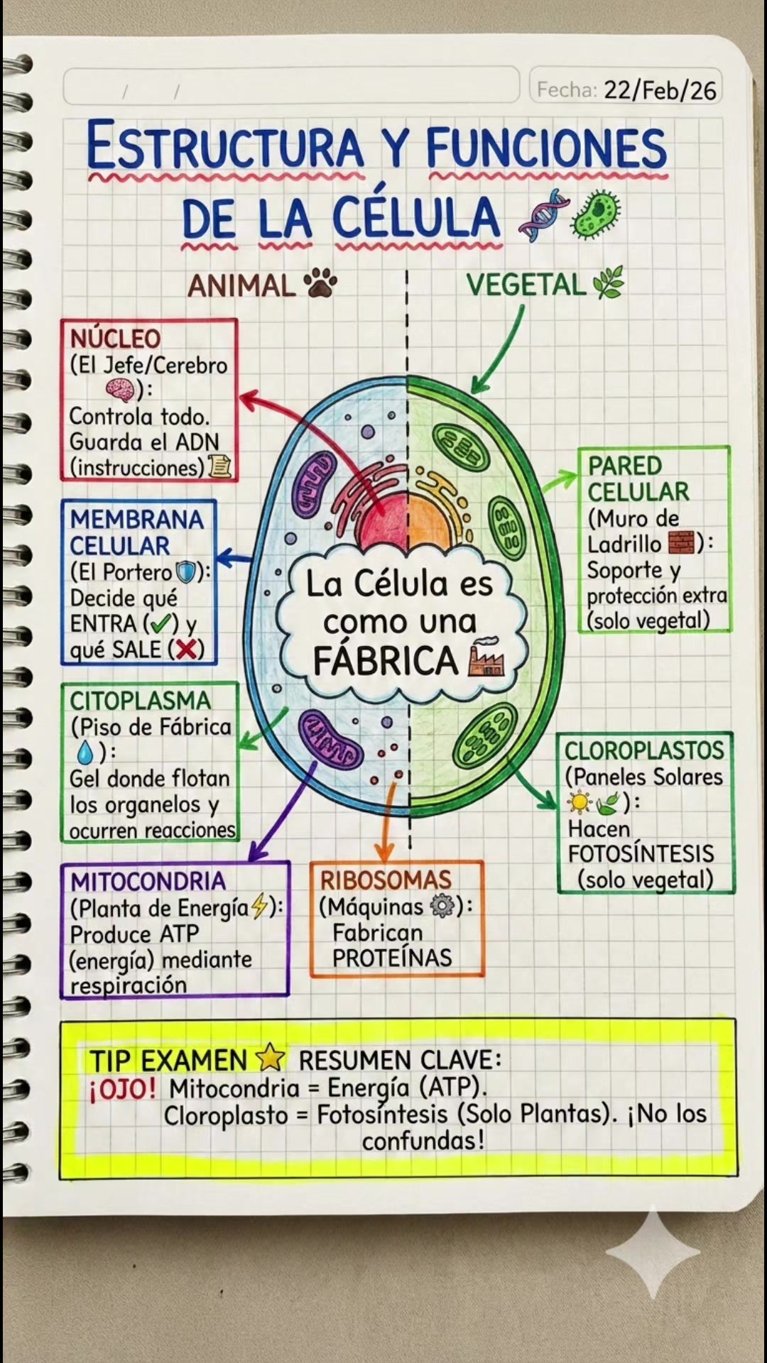 @Sketchnotes | Apuntes Bonitos