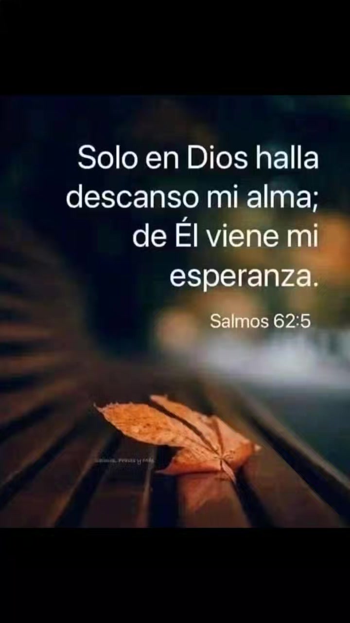 @🇩🇴 jimenez 🇩🇴