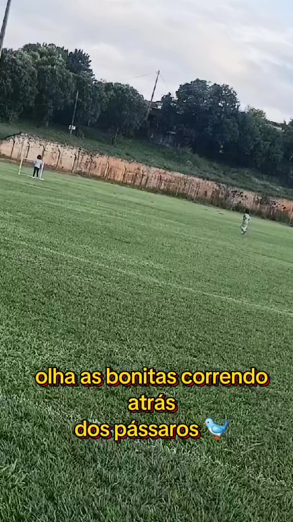 @alinelimas
