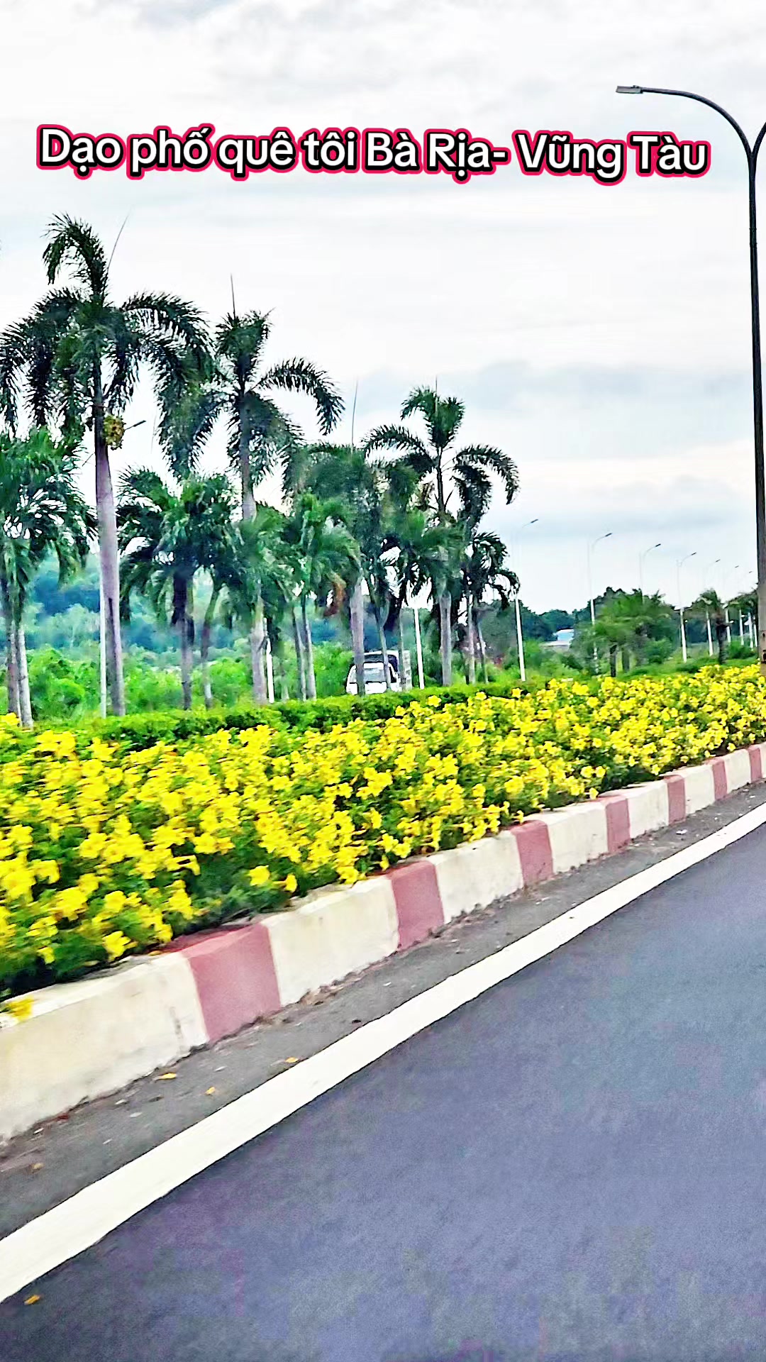 @Sen Hồng