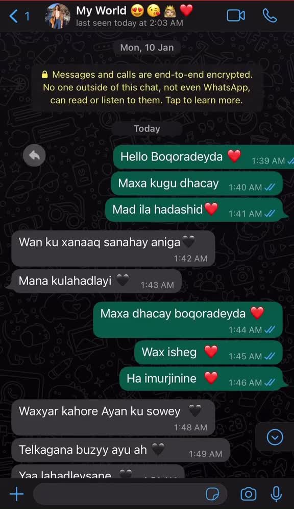 @CISHQI