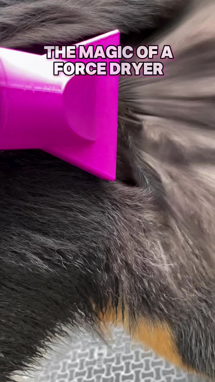 @DogGrooming101