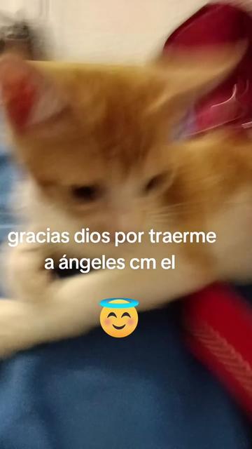 @Vero Jimenez Ferrer
