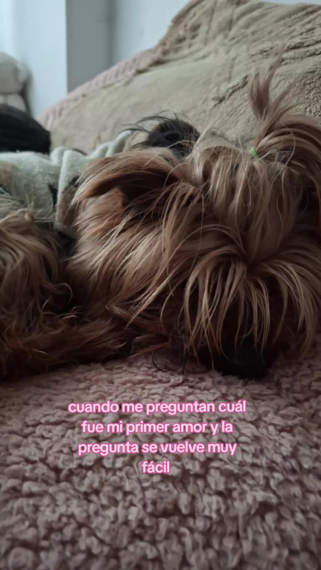 @🪷