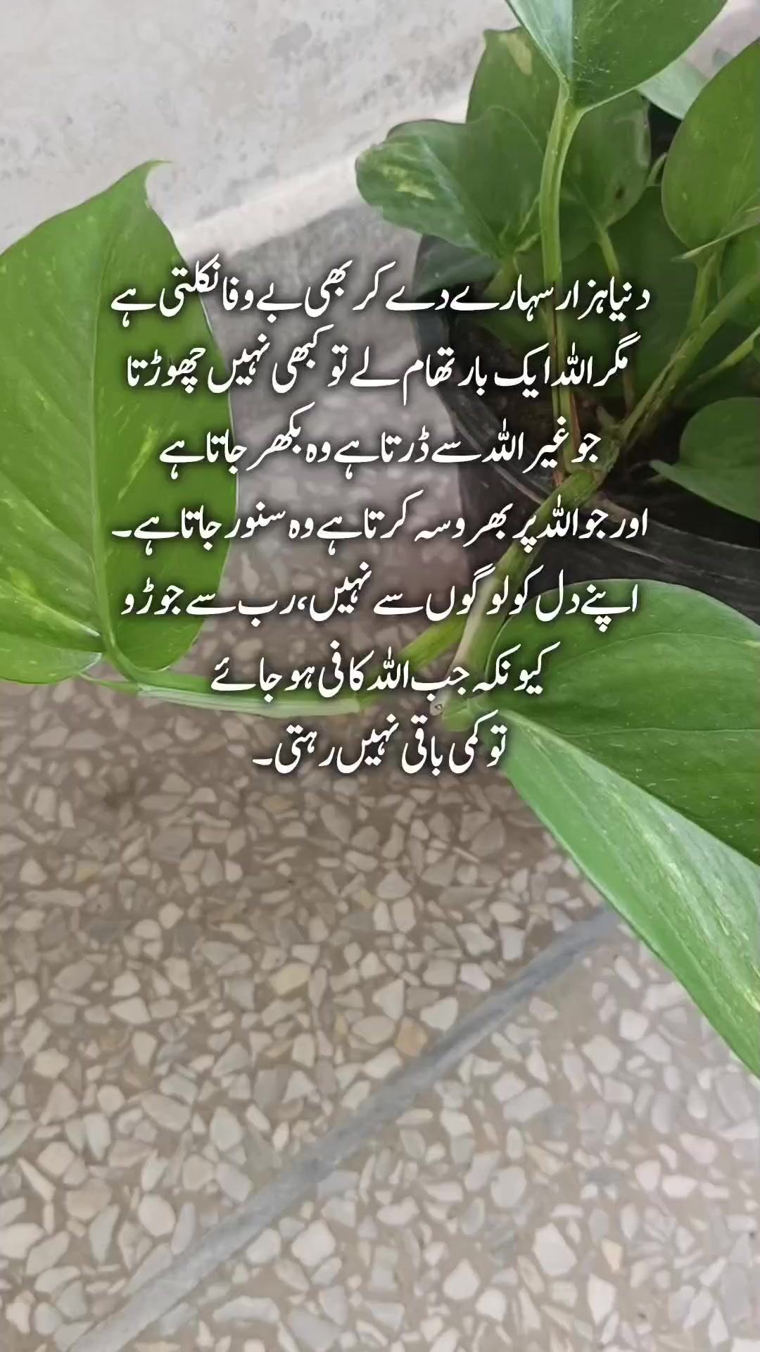 @Kainat Quotes