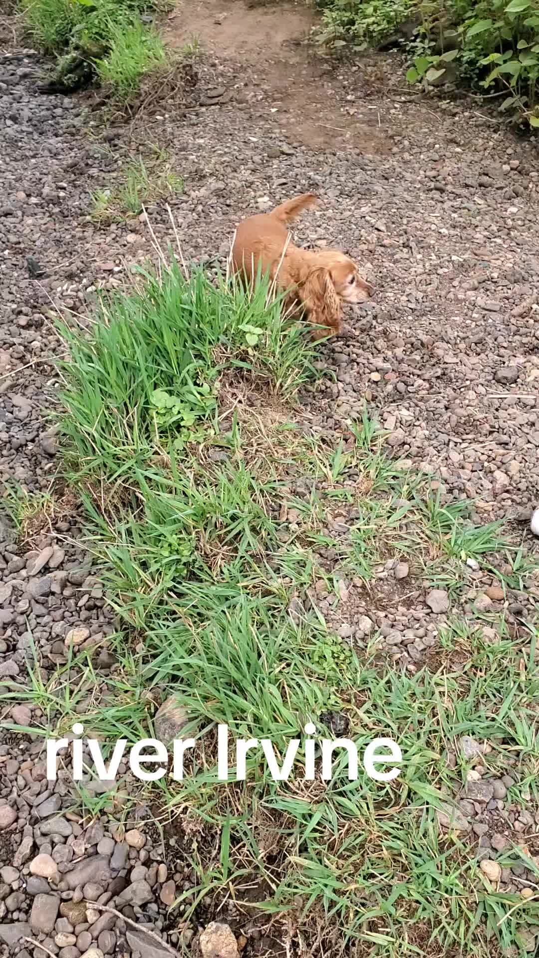 @windowman7