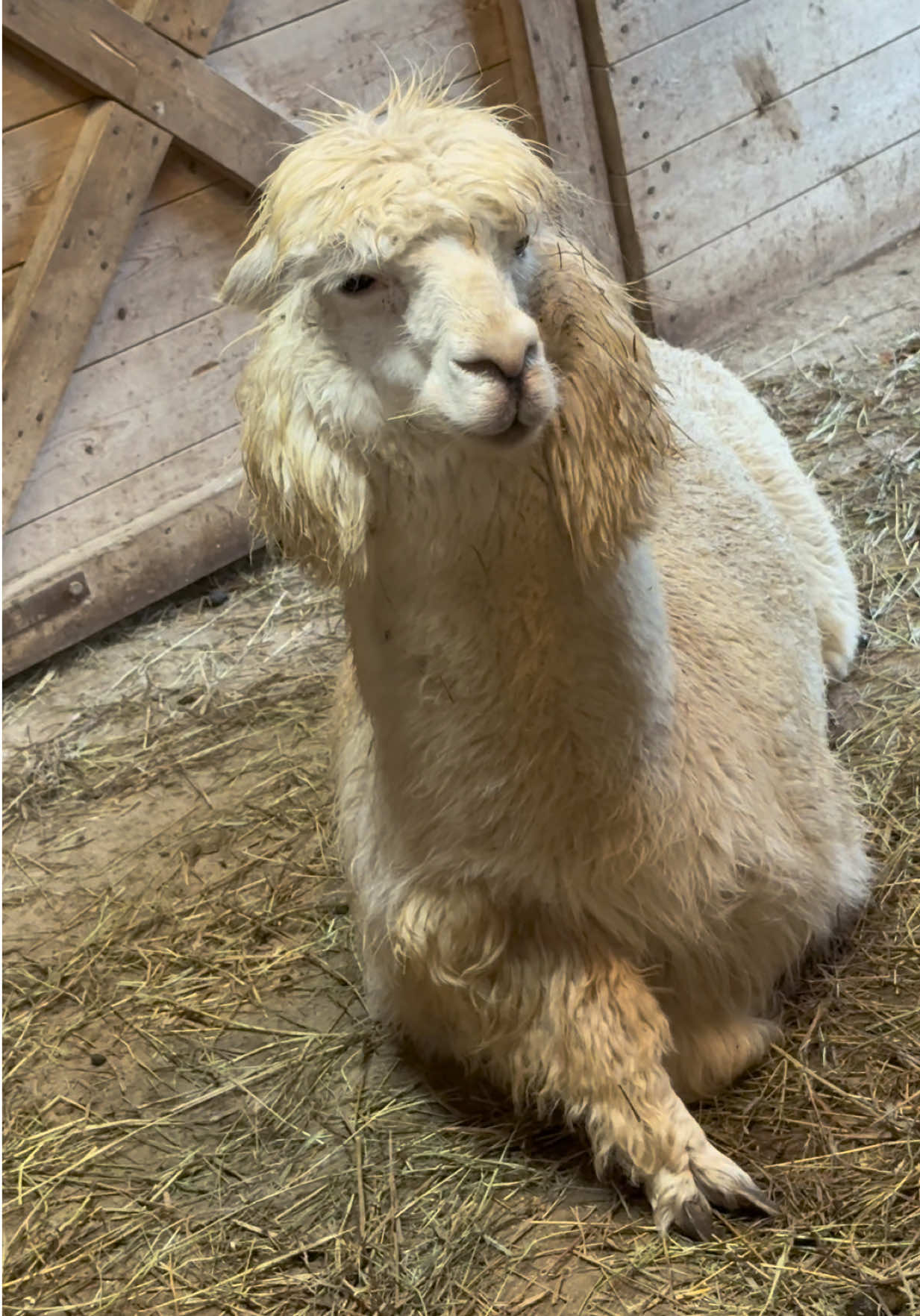 @Useless Farm