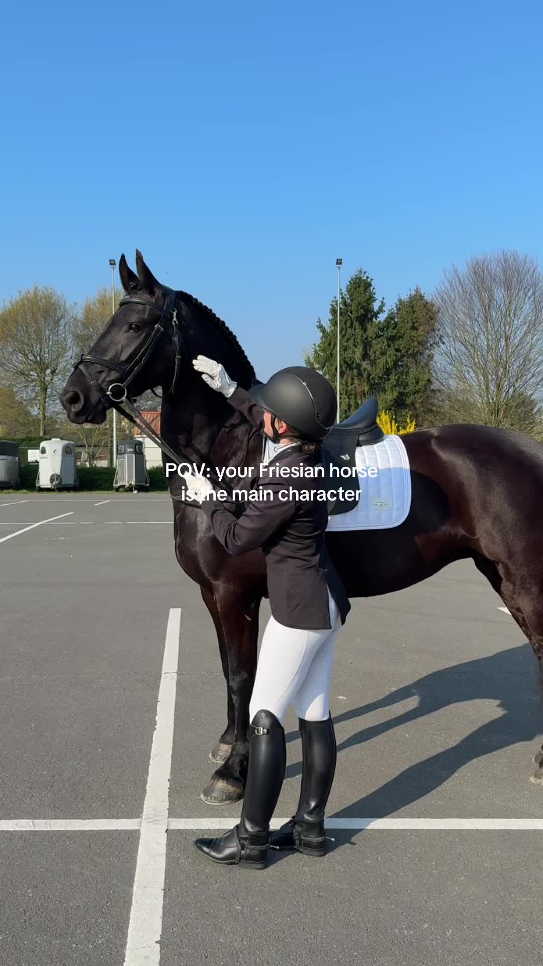 @Phoebe Tack Dressage