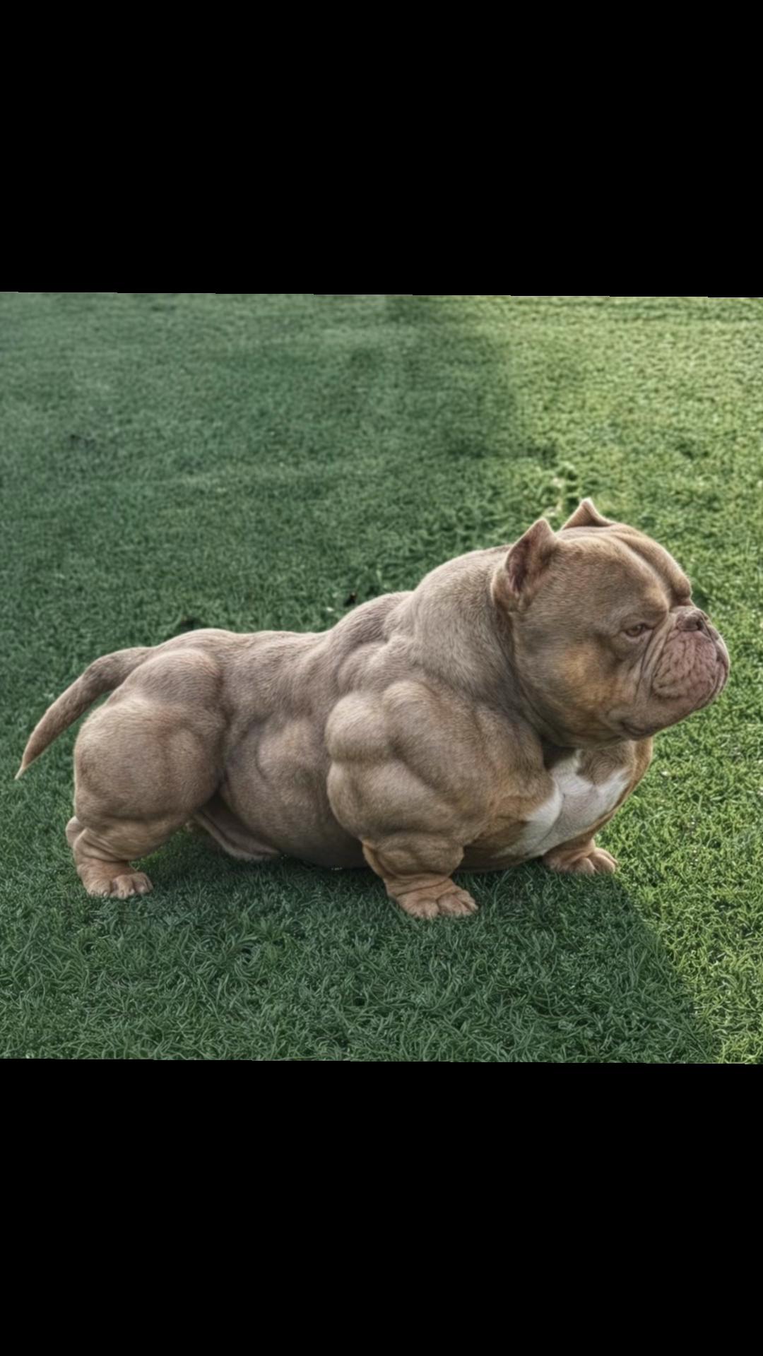 @mmaarrkkuuzz