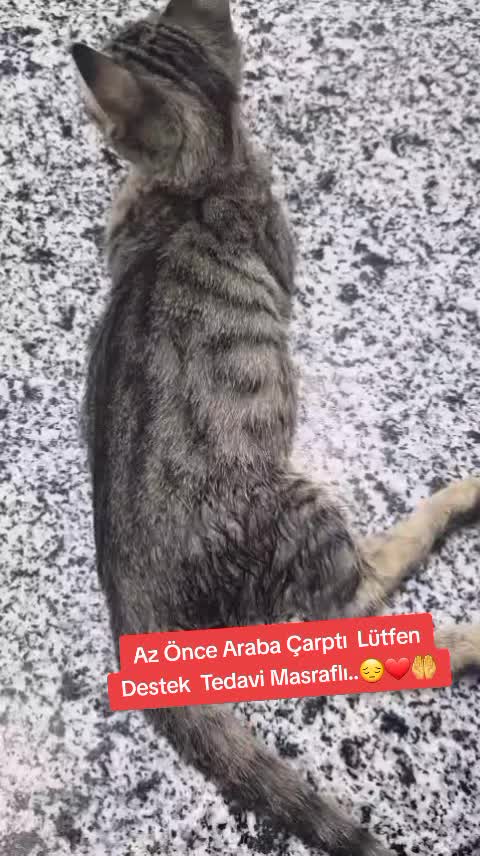 @ÇöpçülerKraliçesi.52..Yedek.💔