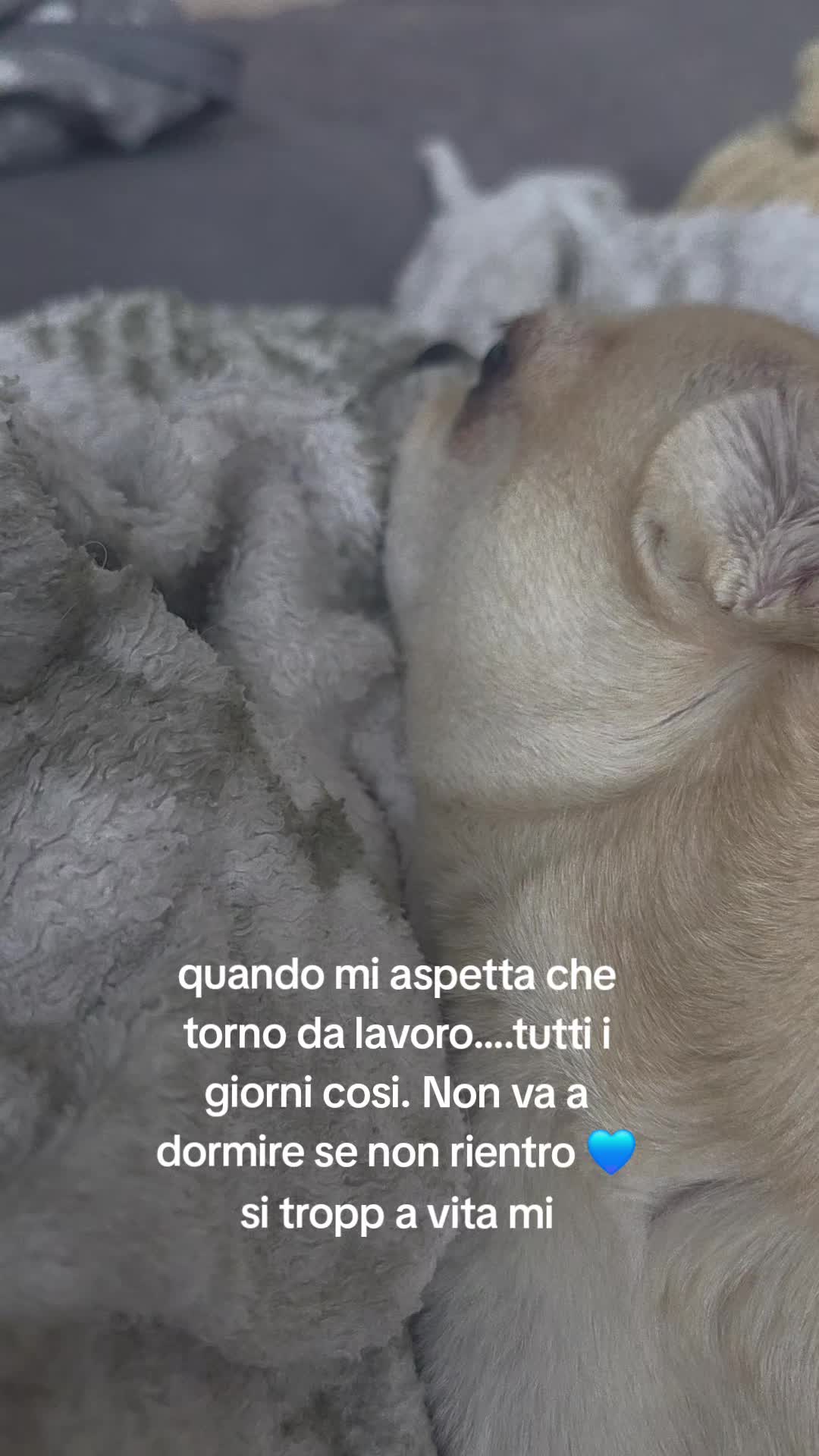 @lucia