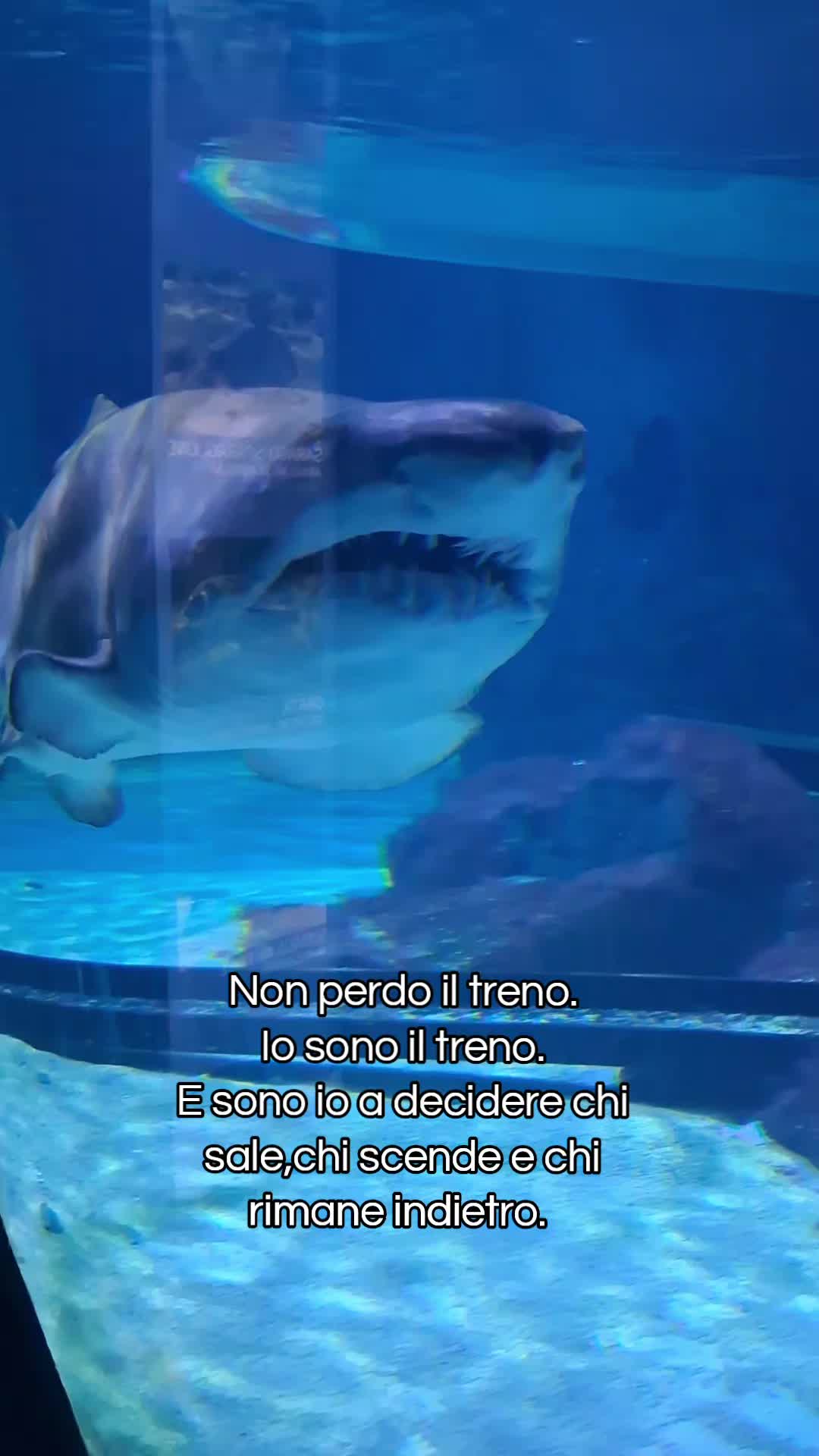 @Emilia Grieco