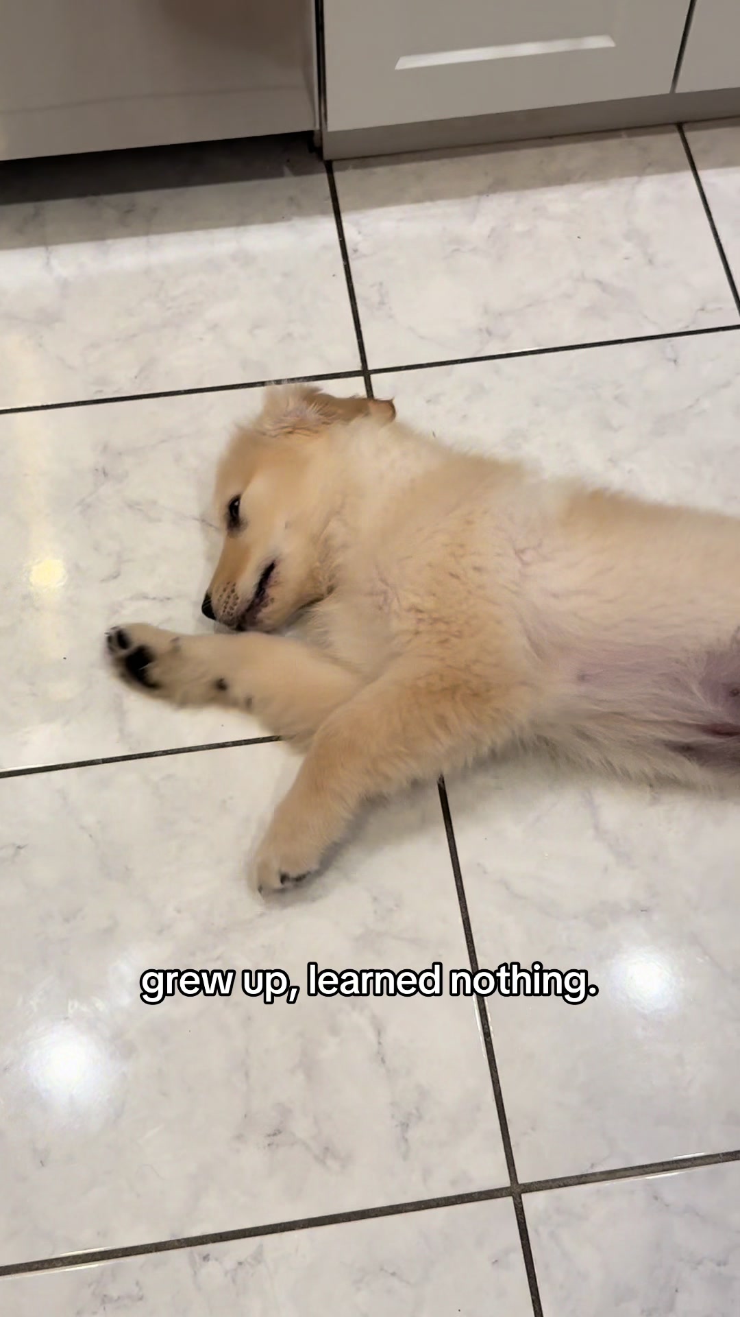 @Nat & Jax