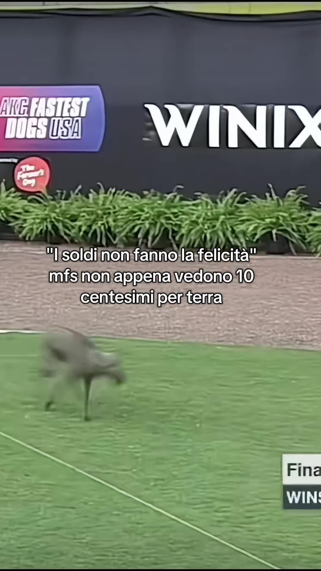 @𝑨𝒍𝒆