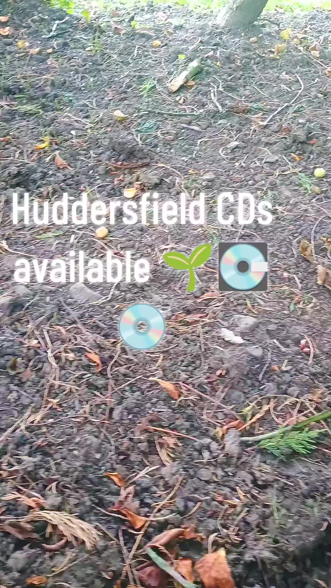 @lovecatsmusic music CDs