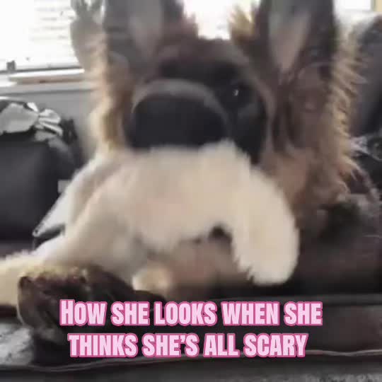 @_xxvzvxx_