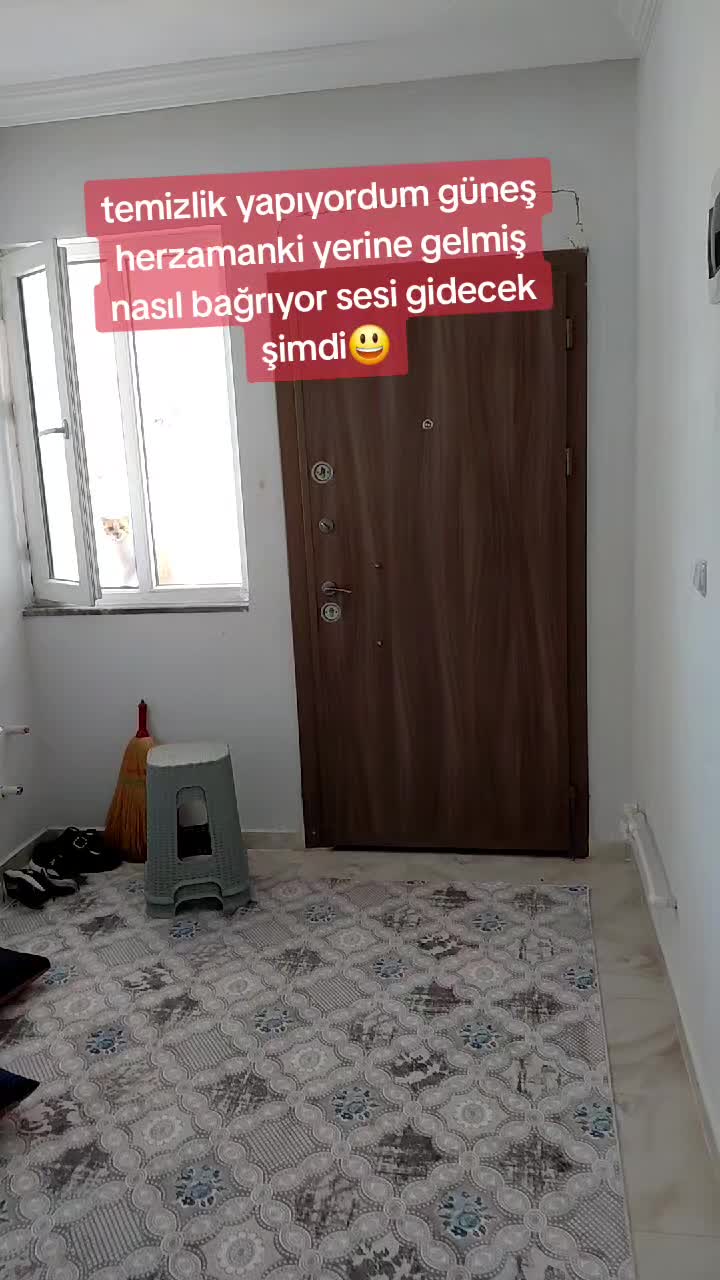 @0660575445773344234