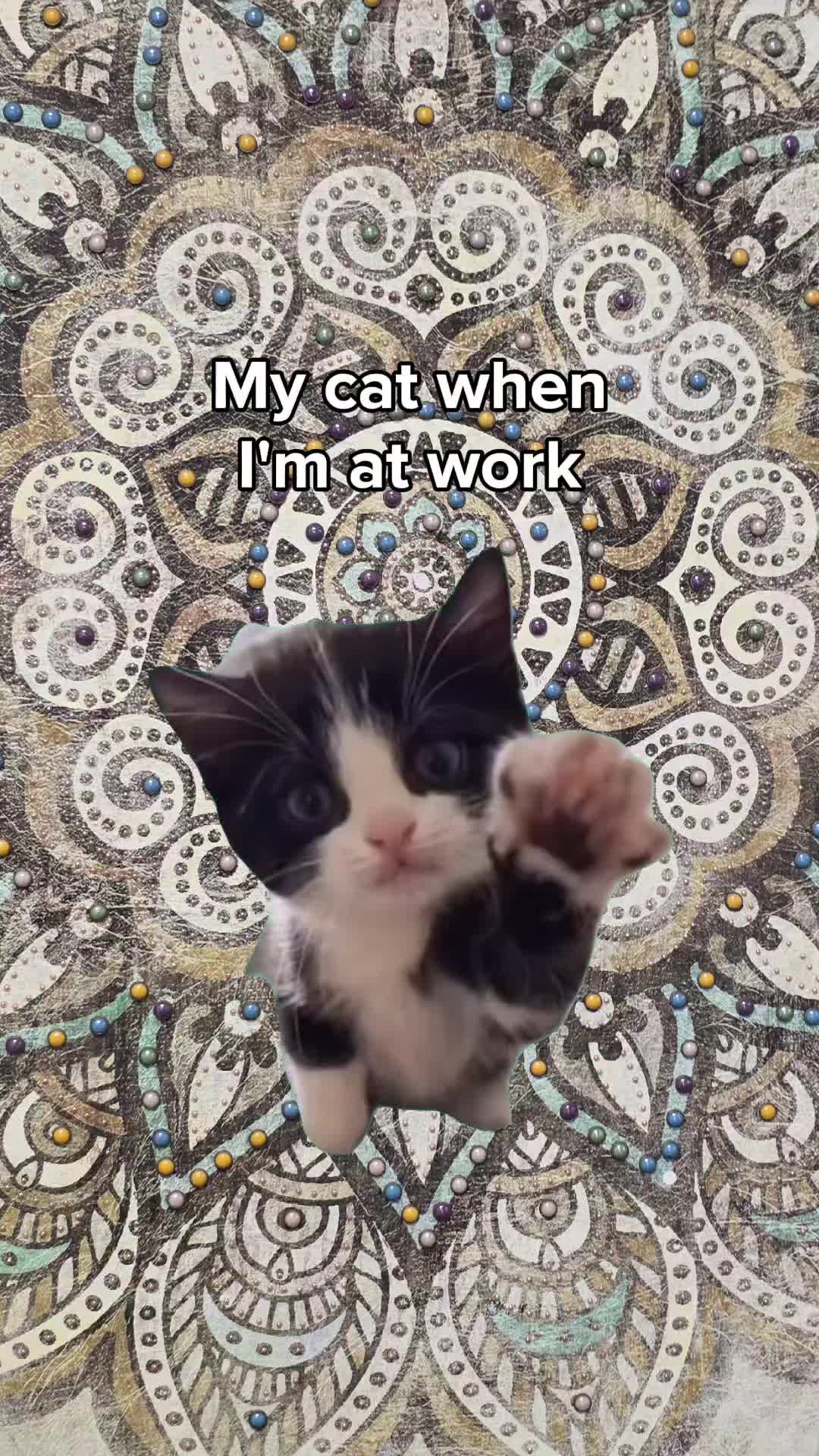 @spintowinwithdonna