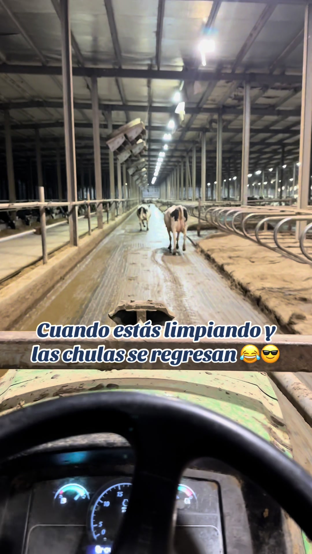 @Nery Elias