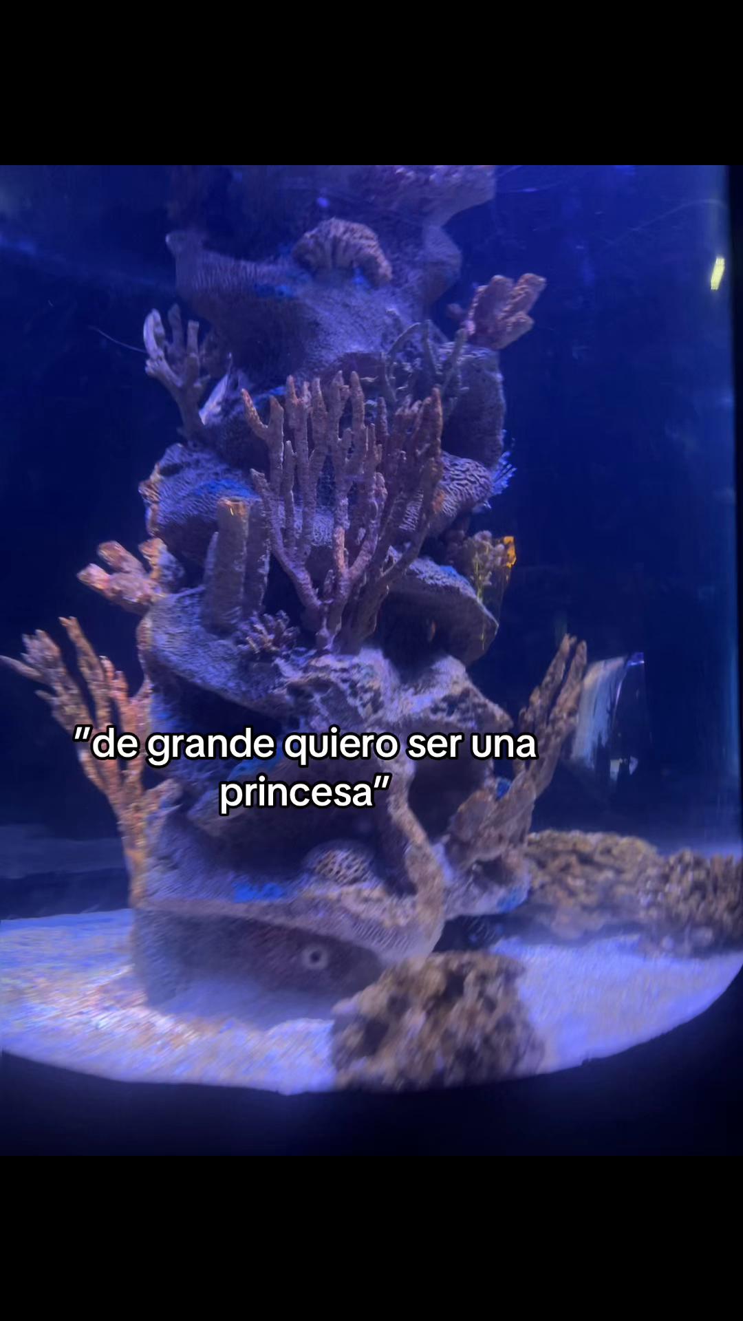 @𝓥𝓪𝓵𝓮𝓷 𝓽𝓮 𝓪𝓶𝓸😍💘