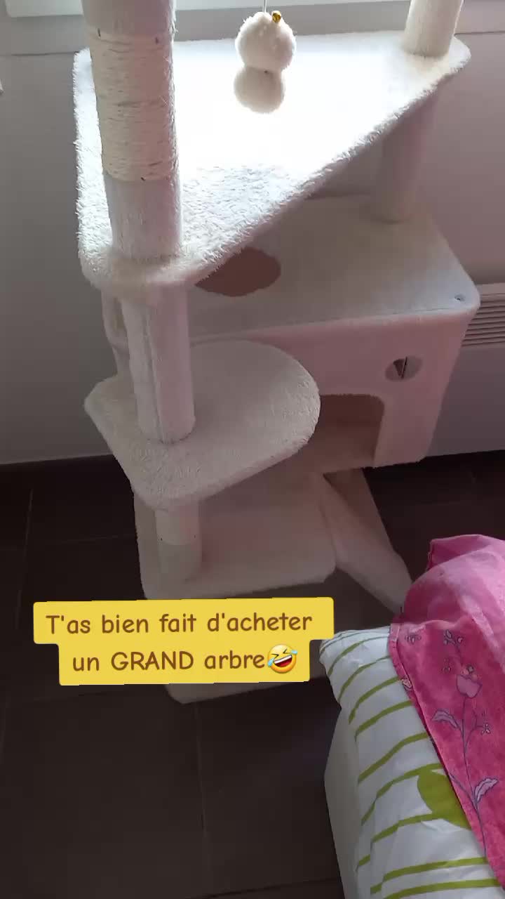@Kitty et Jul
