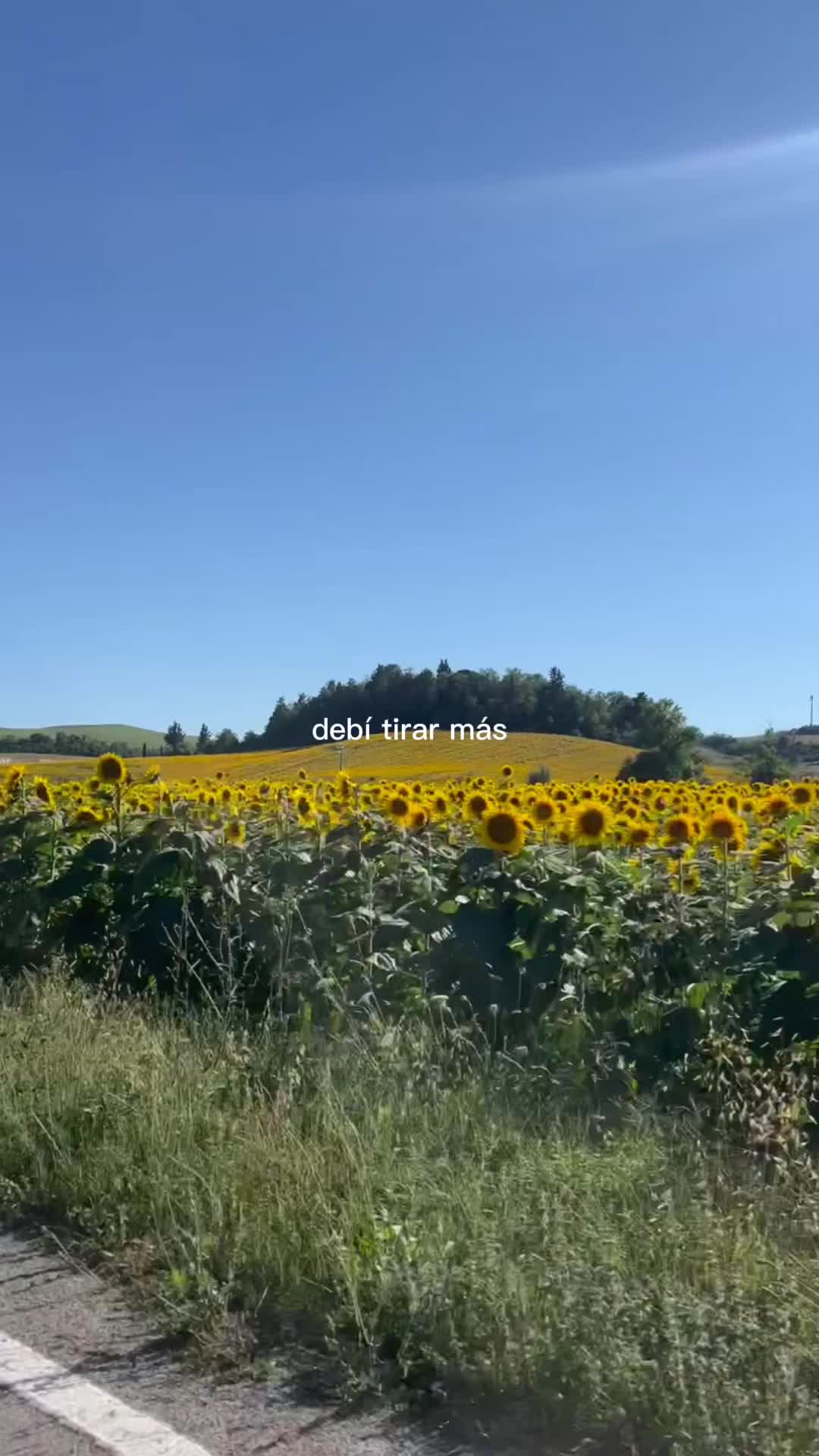 @Laura Nocera