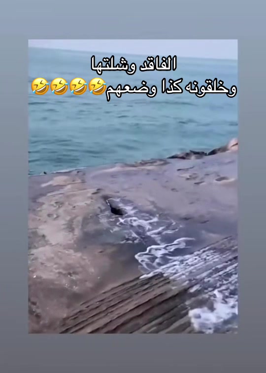 @برتوكول التيك توك