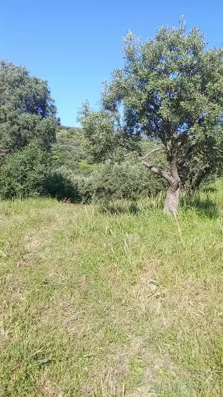 @Rosario Caligiuri