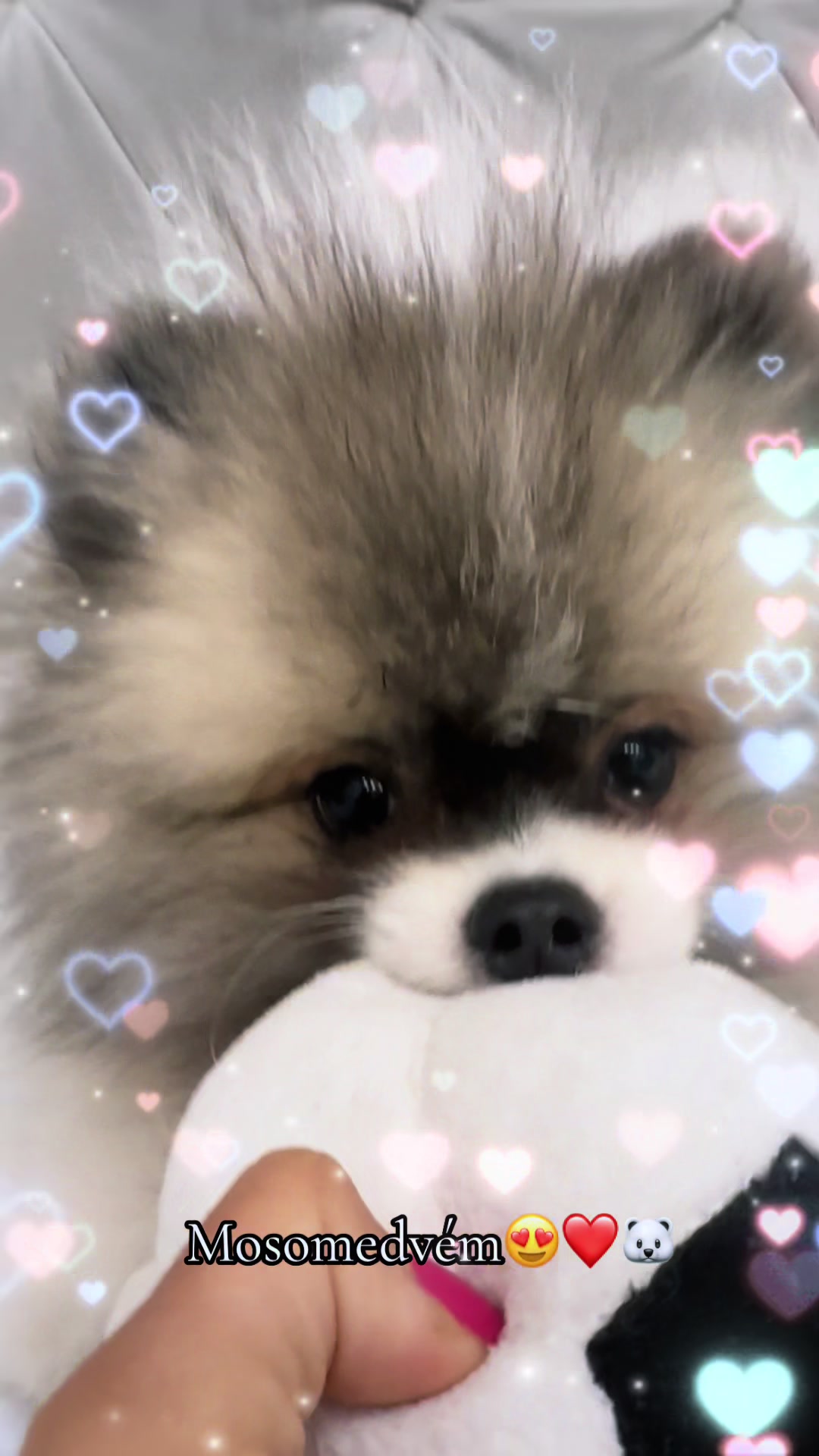 @Niki✨