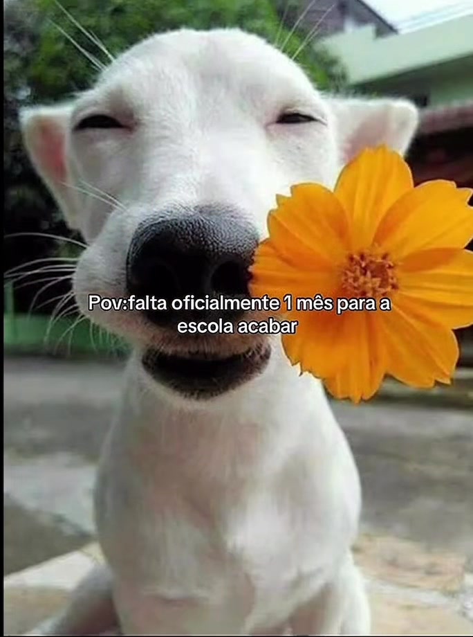 @republicaaa_