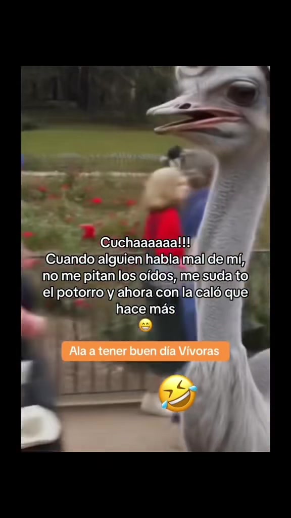 @💫Juan☄️
