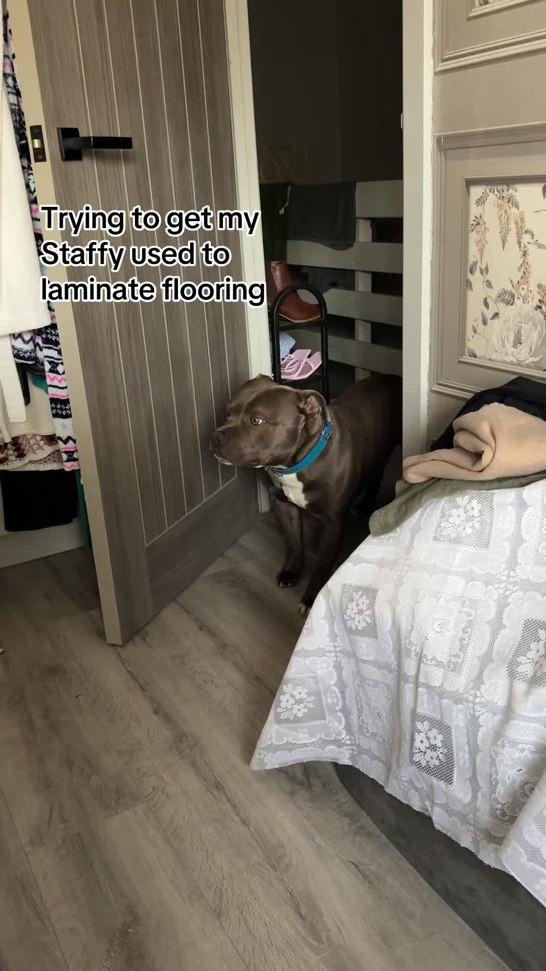 @jaegerstaffy