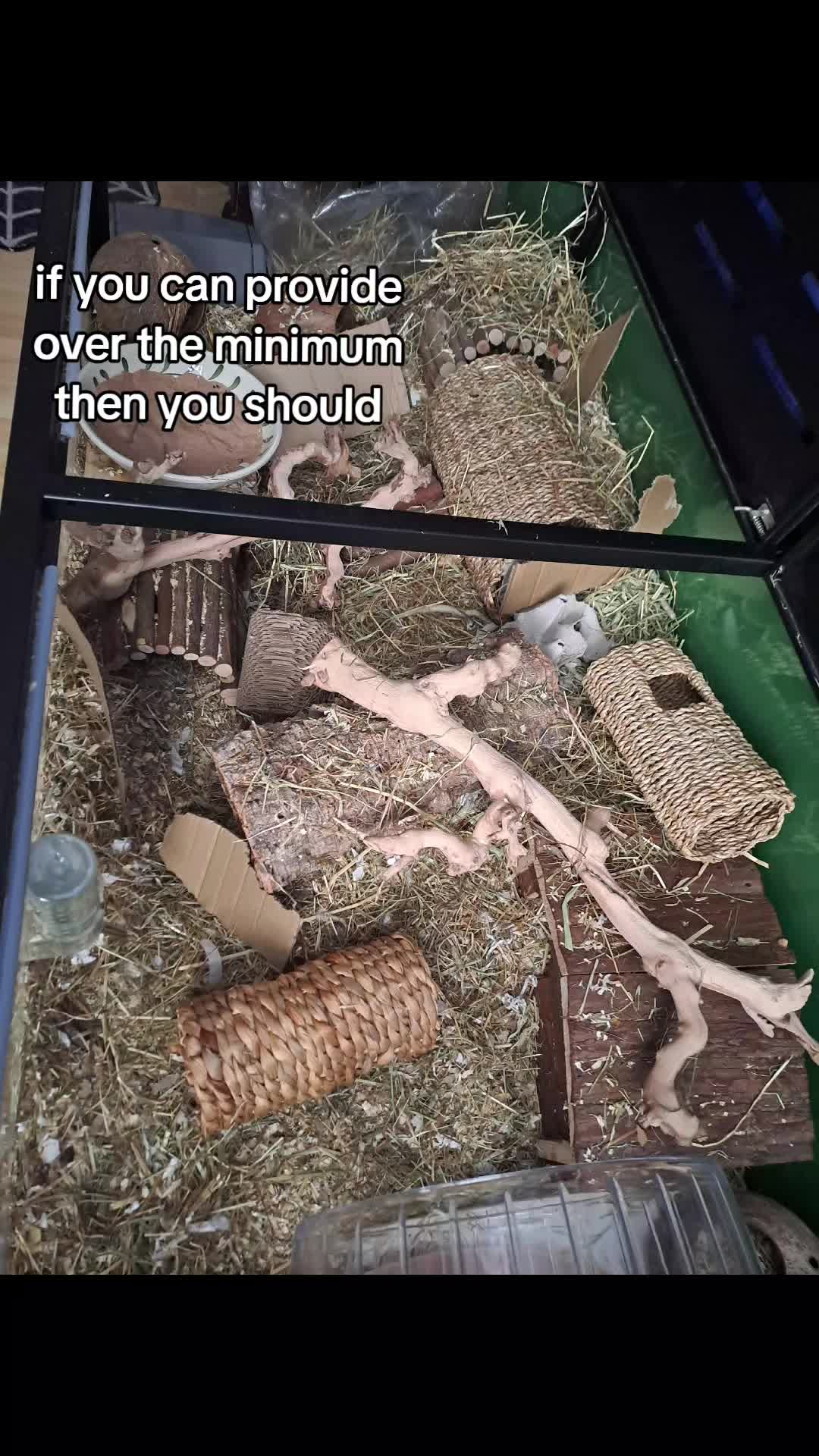 @🦷