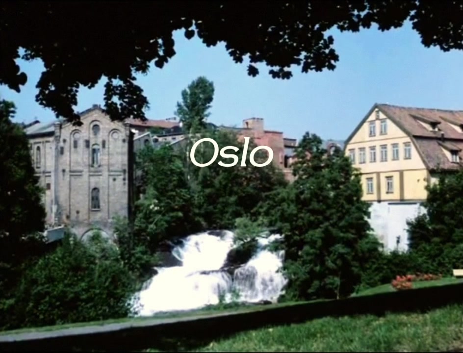 @skog.no
