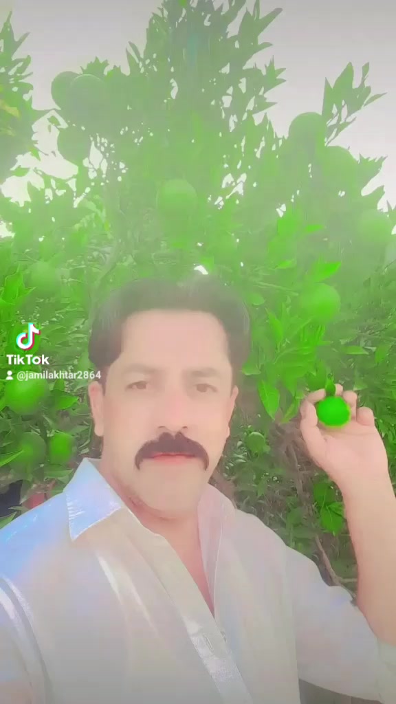 @jamilakhtar2864