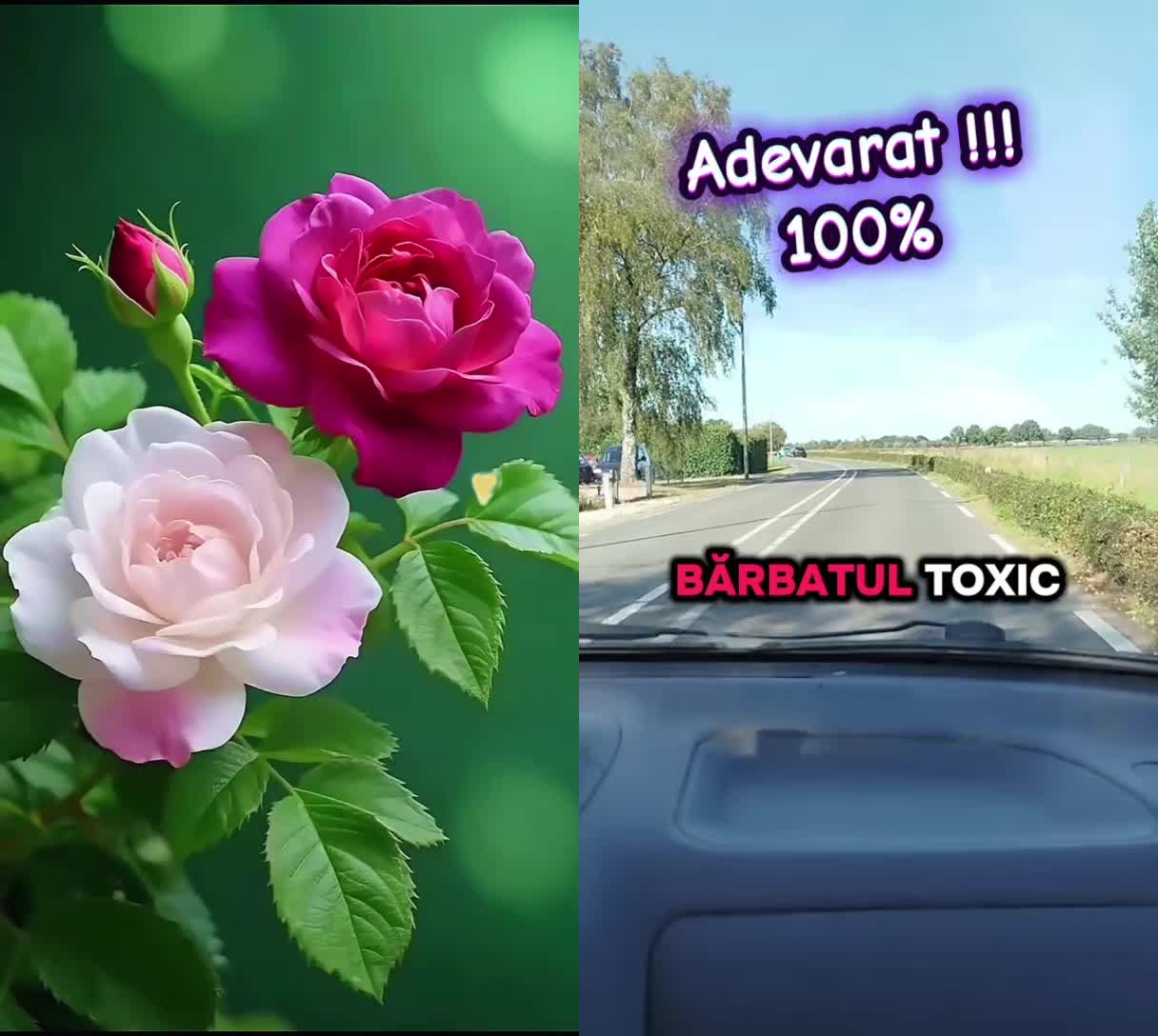 @Valy Victorita 51