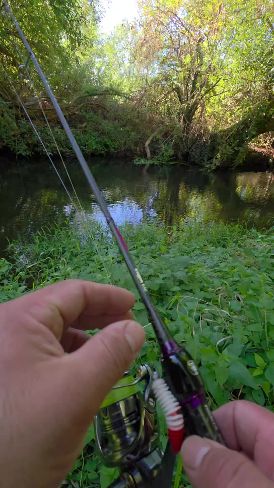 @BF Angler