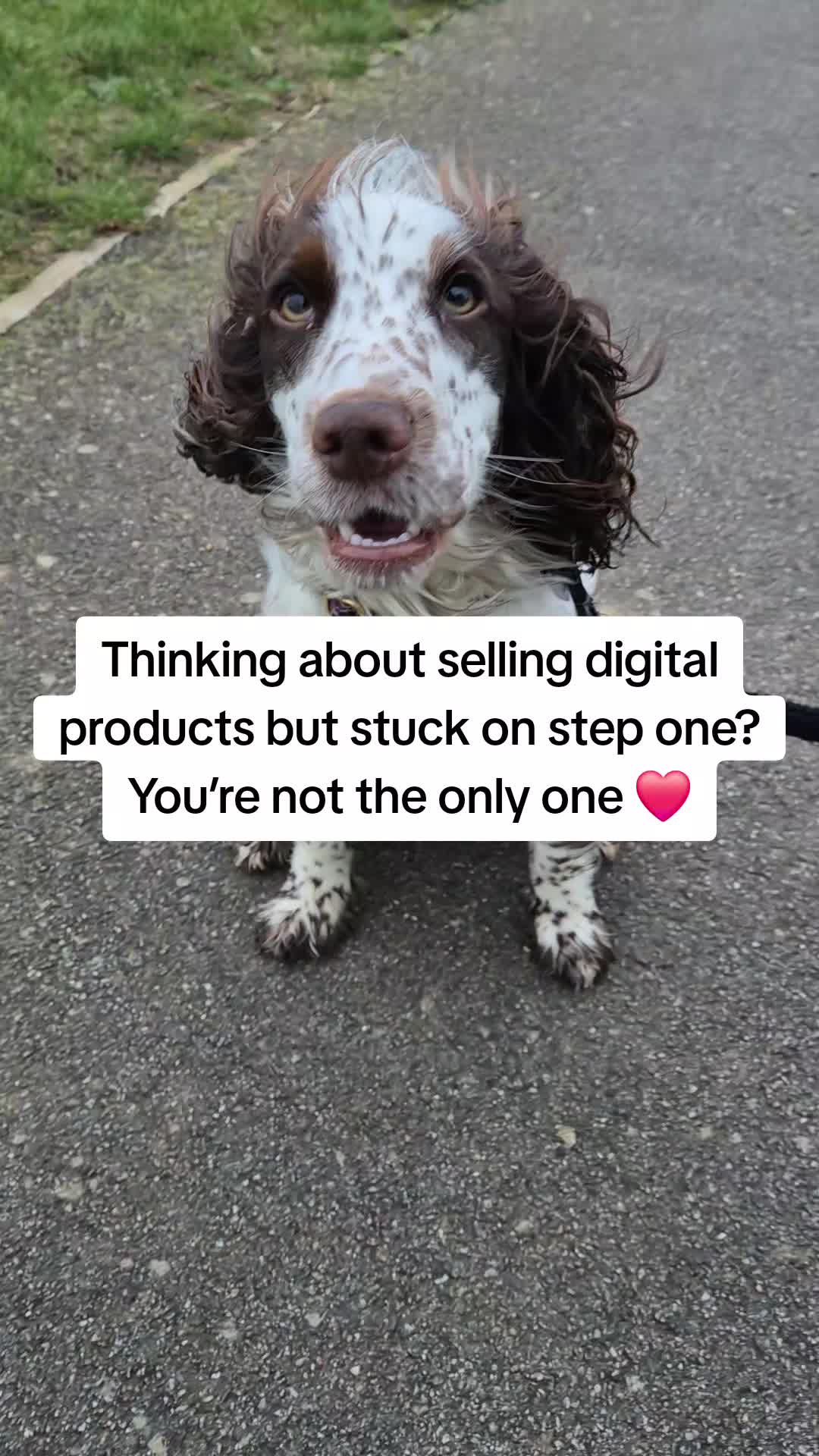 @Emily | Digital Marketing