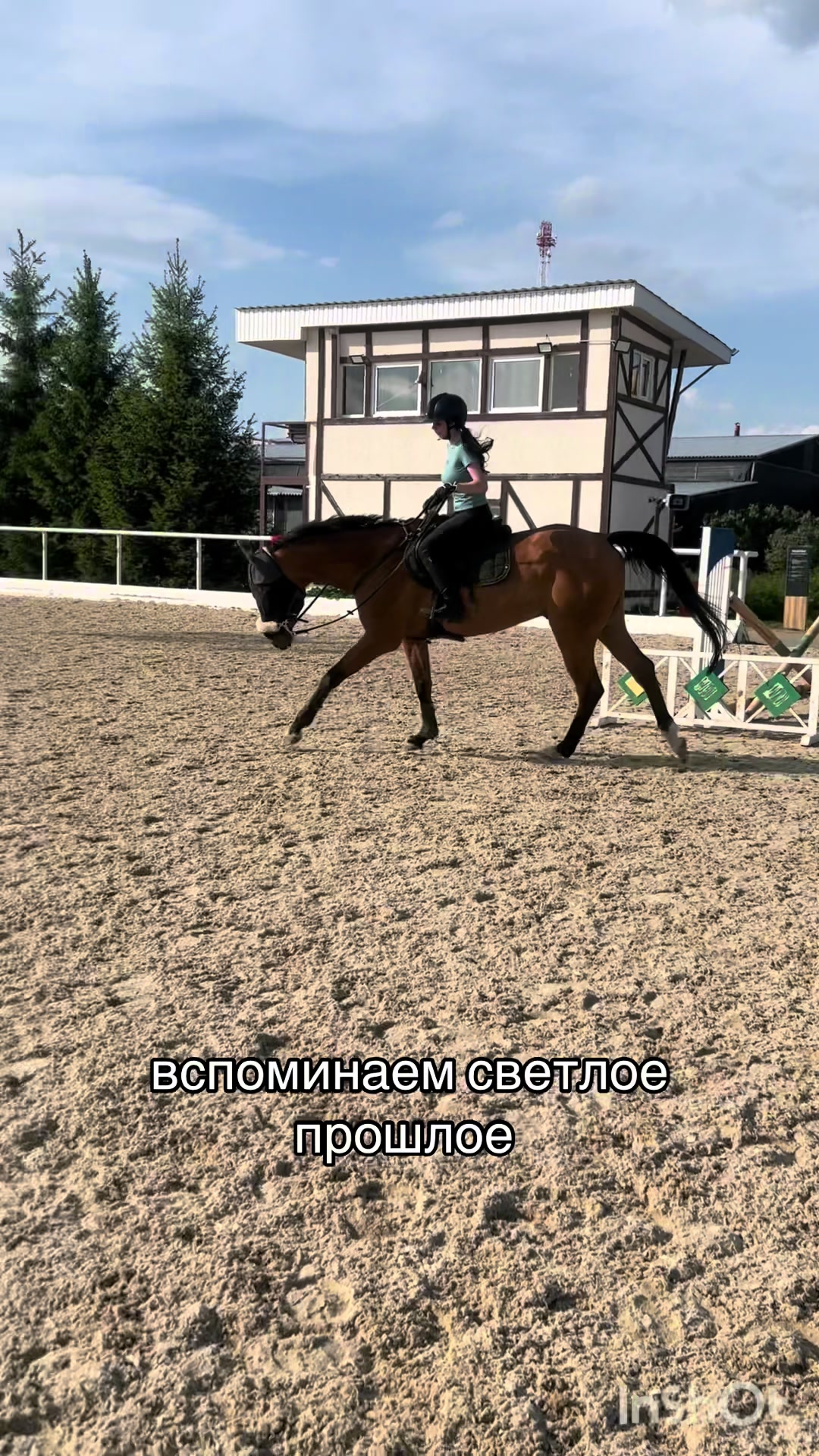 @овечкина