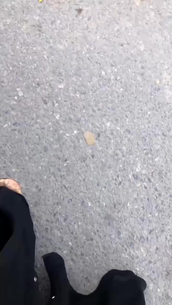 @شائستہ رباب