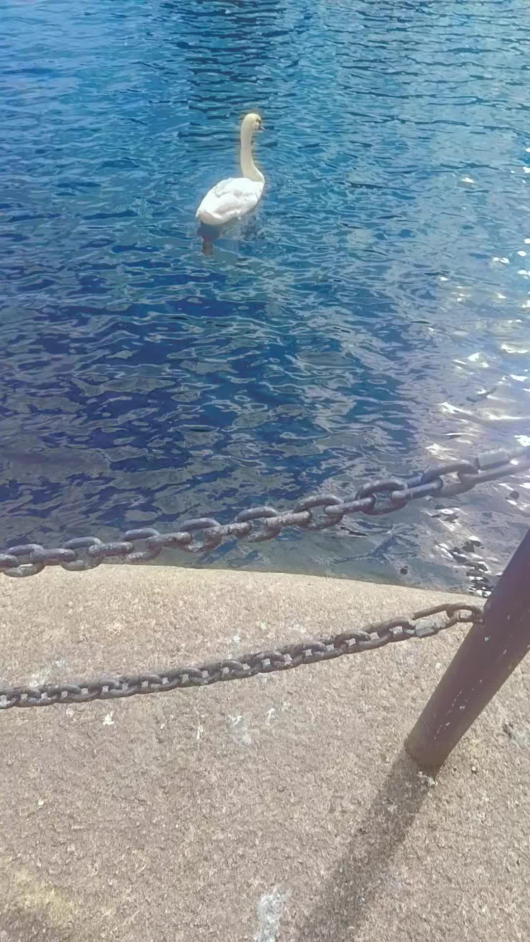 @بني خالد 911