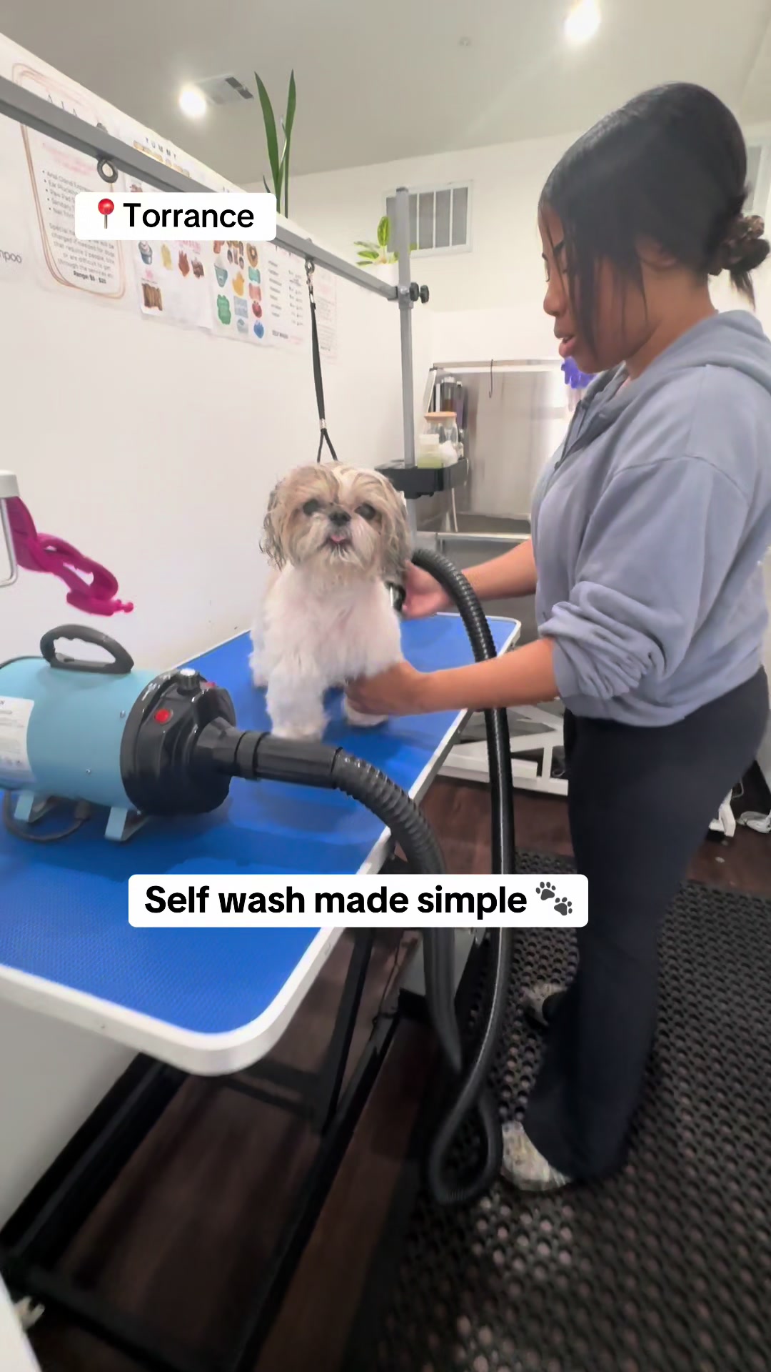 @dogwashla