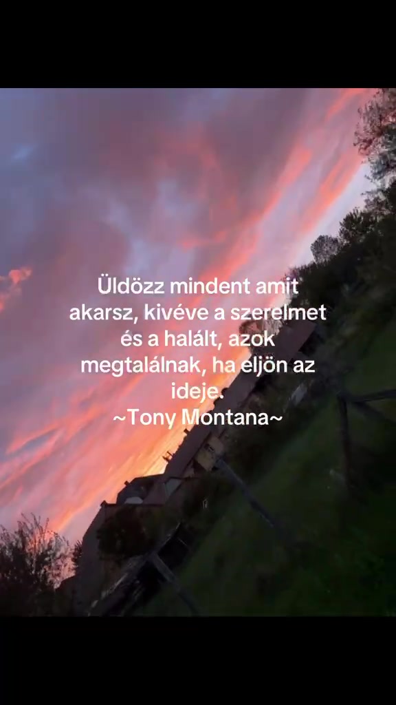 @~Zsófi~