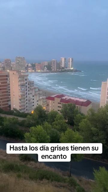 @Carmen Tomás 13