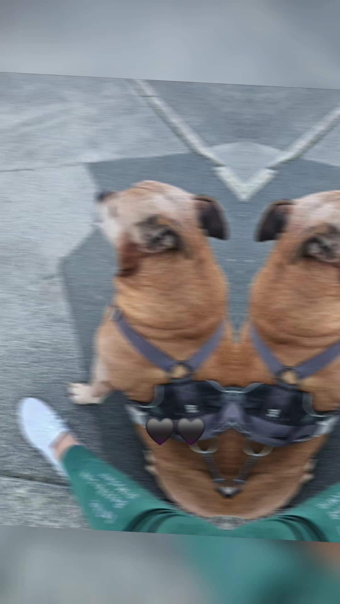 @Bosė😅