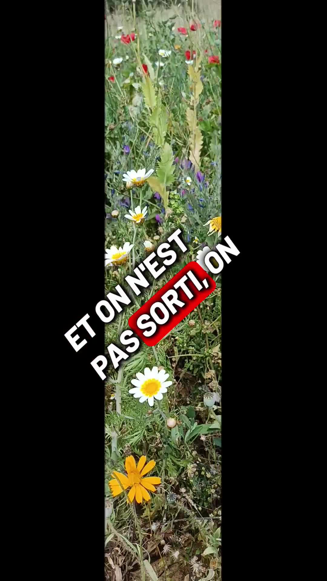 @Bouba🇲🇦مغربي