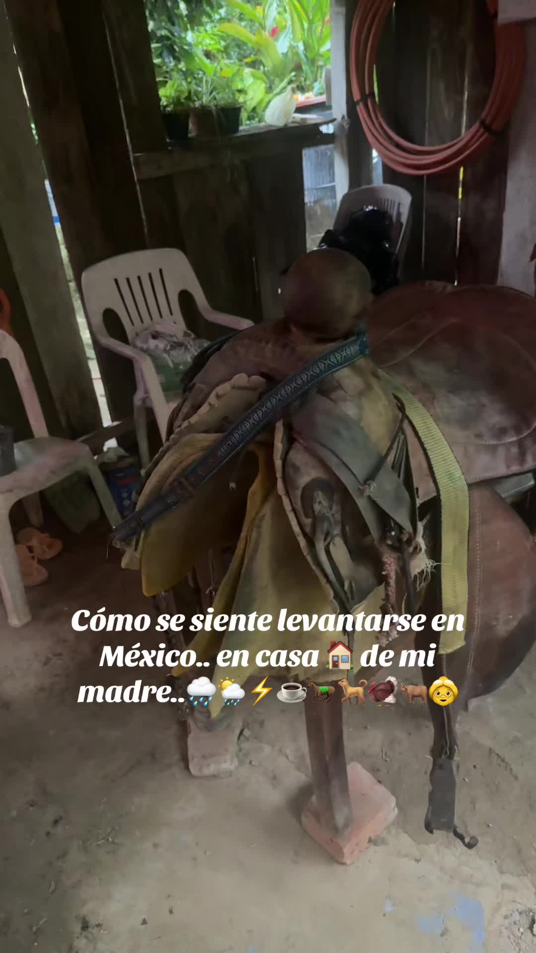 @Letipina26_oficial