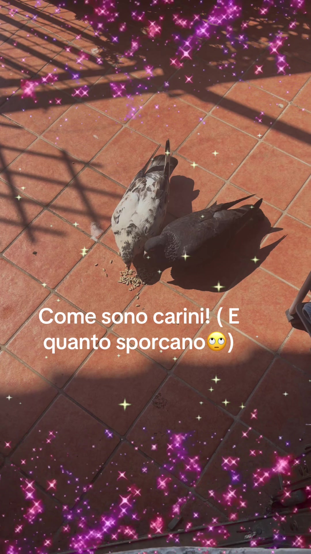 @Pina Varriale